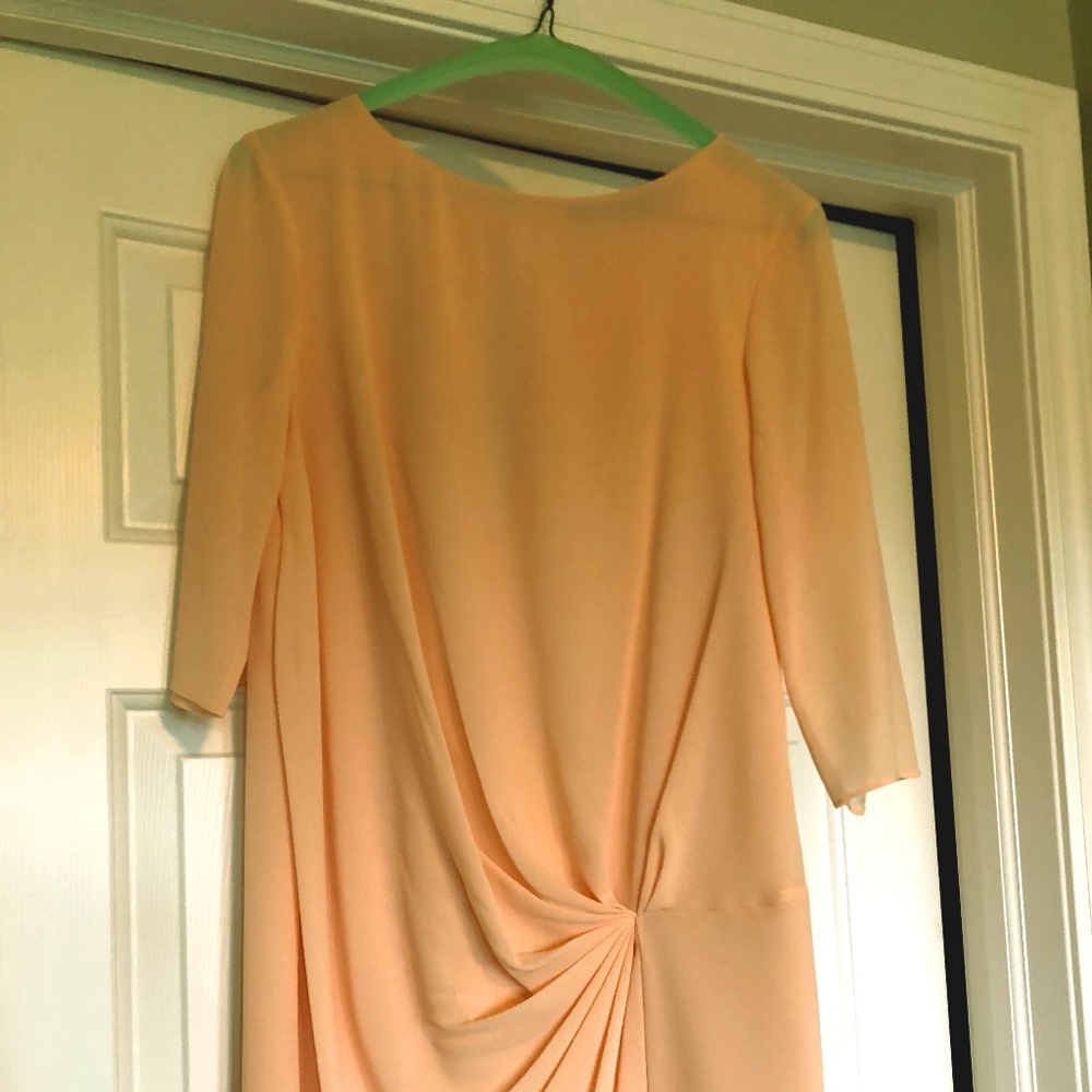 3/4 sleeve Blush Zara Dress